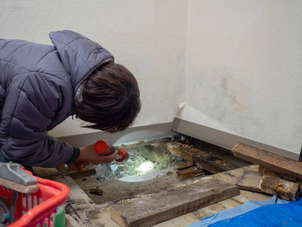 Best Airborne Mold Testing  in West Salem, OH