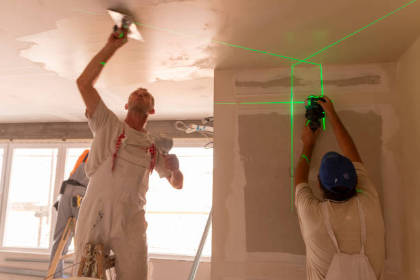 Best Dehumidification Services  in West Salem, OH