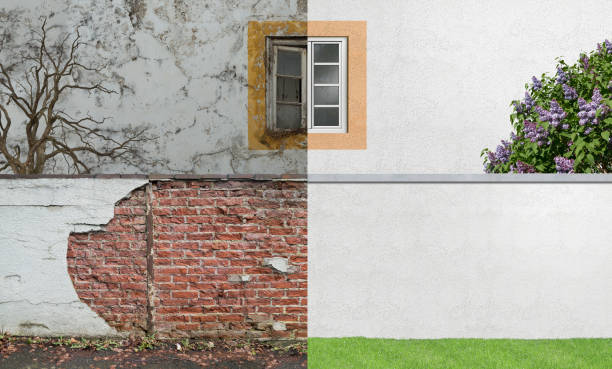 Best Comprehensive Air Testing for Mold Contaminants  in West Salem, OH