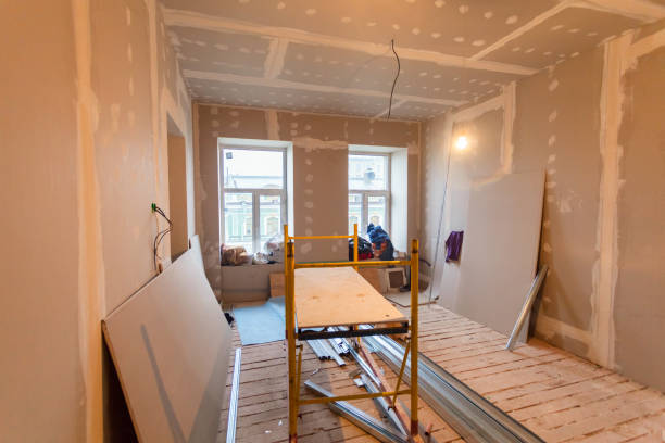 Best Post-Construction Mold Inspection  in West Salem, OH